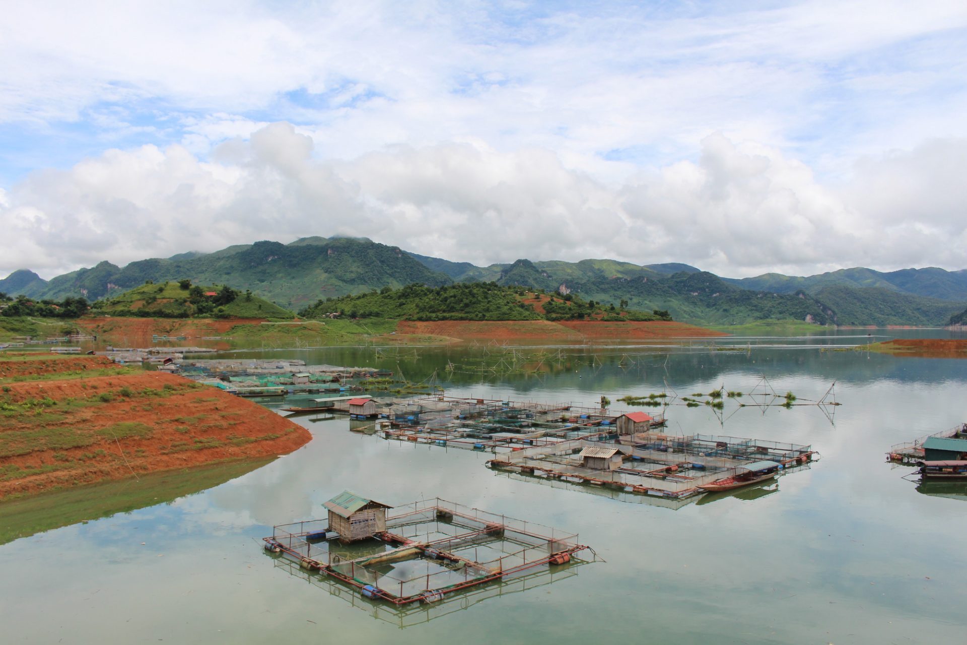 Sơn La phấn đấu trở thành trung tâm sản xuất giống, nuôi trồng thủy sản lớn nhất vùng Tây Bắc - Ảnh 2.