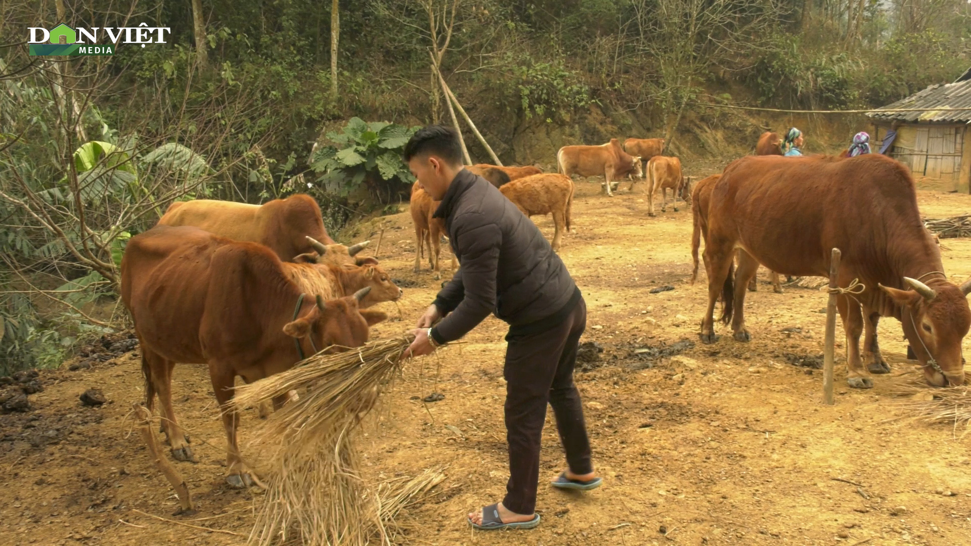 Lào Cai: Thoát nghèo bền vững nhờ áp dụng biện pháp an toàn dịch bệnh trong chăn nuôi - Ảnh 1.