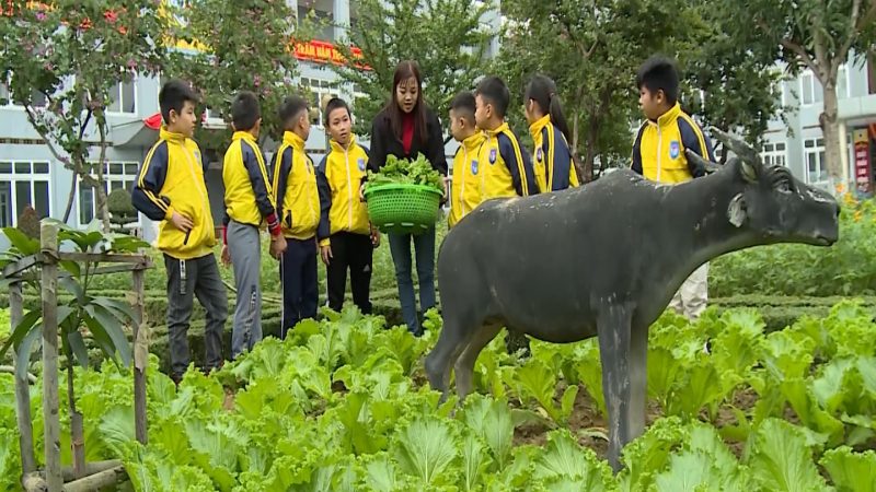 Nghệ An: Tận dụng quỹ đất, xây dựng nông trại sạch trong học đường