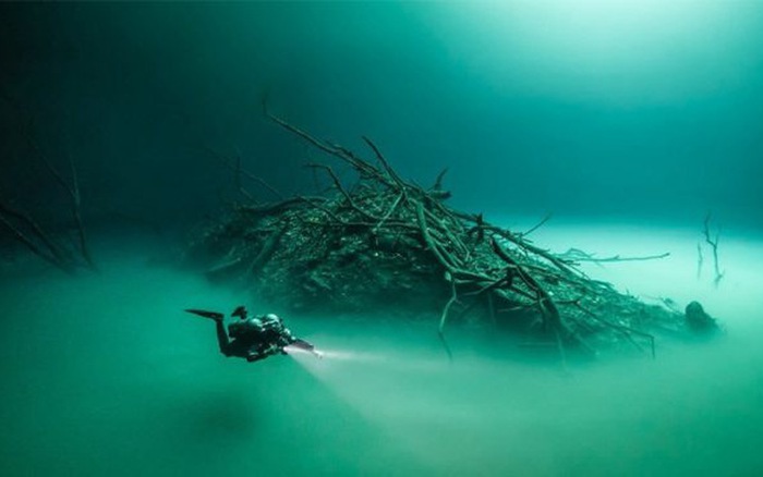 Những bí ẩn dưới đáy đại dương có thể bạn chưa biết
