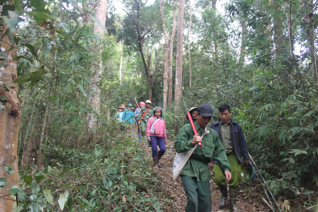 Phát huy vai trò nòng cốt trong công tác quản lý, bảo vệ rừng - Ảnh 2.